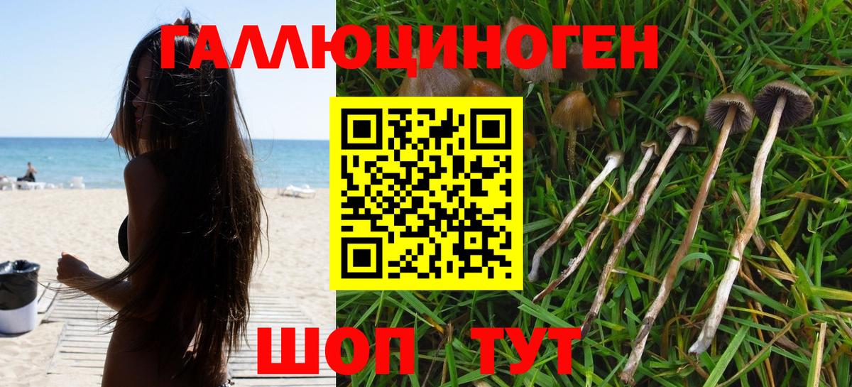 Псков  Псилоцибиновые грибы ЛСД  Вход с VPN 
